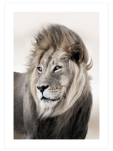 Aslan - Art Print